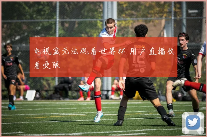 电视盒无法观看世界杯 用户直播收看受限