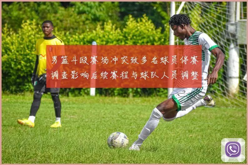 男篮斗殴赛场冲突致多名球员停赛调查影响后续赛程与球队人员调整