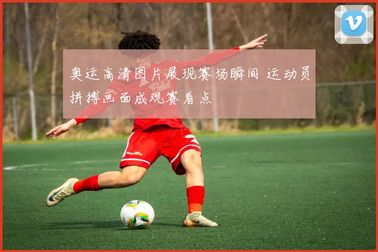 奥运高清图片展现赛场瞬间 运动员拼搏画面成观赛看点