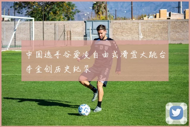 中国选手谷爱凌自由式滑雪大跳台夺金创历史纪录